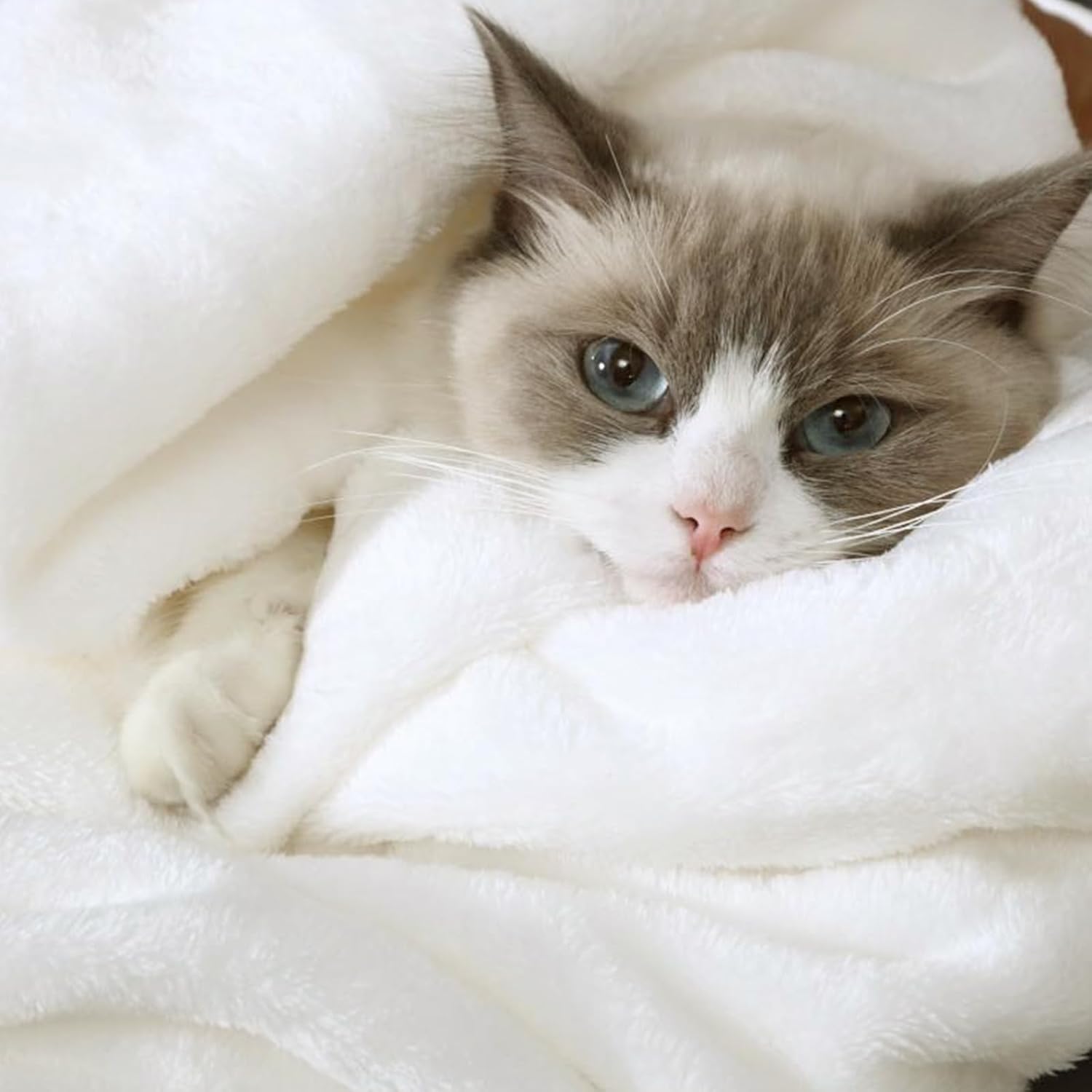 YSTYLE Soft Flannel Fleece Twin Blanket Plush Throw 160 x 200 CM