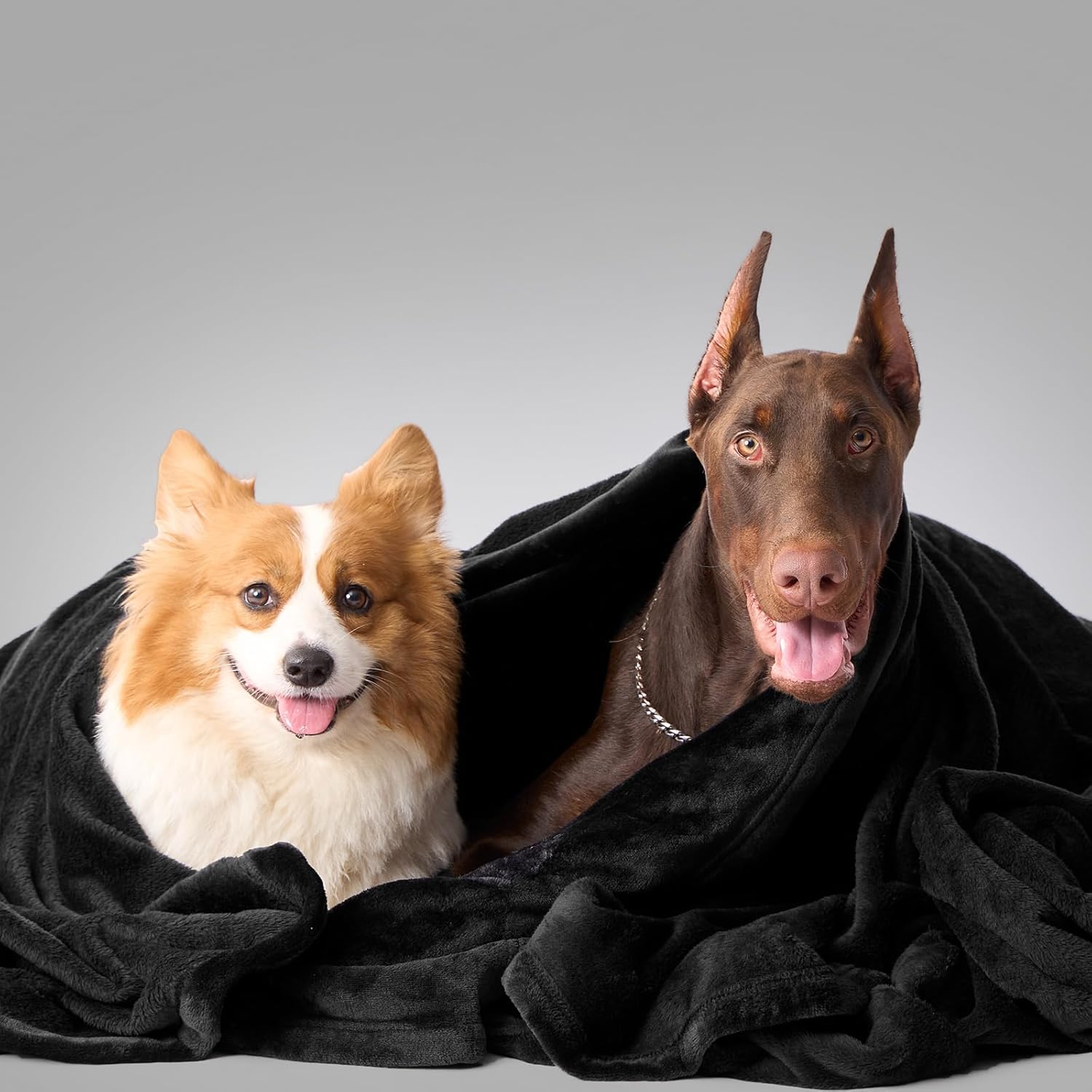 YSTYLE Soft Flannel Fleece Twin Blanket Plush Throw 160 x 200 CM