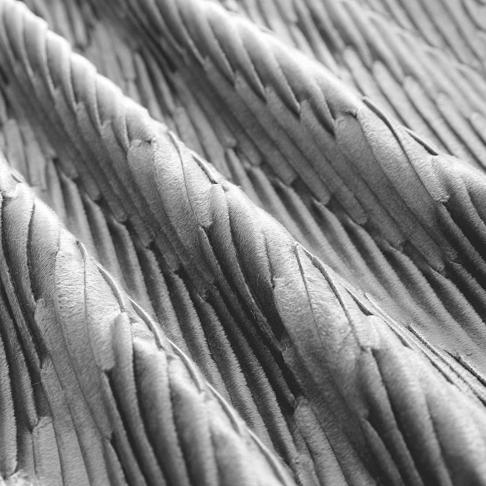 Ystyle 2 Pieces Cushion Covers Sofa 50 x 50 cm Velvet Minimalist Cushion Covers Invisible Zipper Decorative Cushion Covers for Sofa Living Room Bedroom