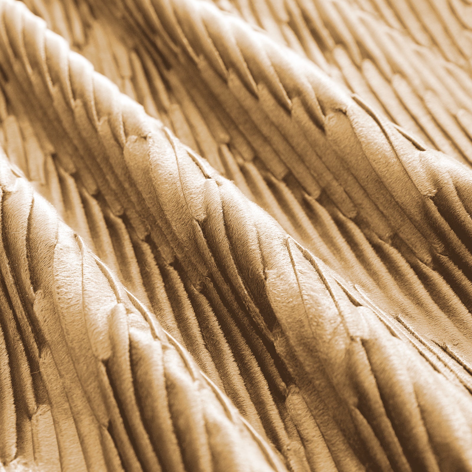 Ystyle 2 Pieces Cushion Covers Sofa 50 x 50 cm Velvet Minimalist Cushion Covers Invisible Zipper Decorative Cushion Covers for Sofa Living Room Bedroom